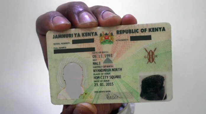 Issue national IDs at Form Four for university admissions