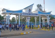 KU hiring lecturers for school of health sciences KU hiring lecturers